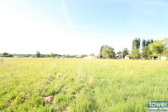 achat terrain negrepelisse 82800