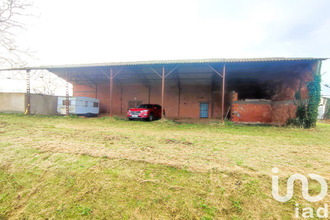 achat terrain negrepelisse 82800