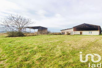 achat terrain negrepelisse 82800