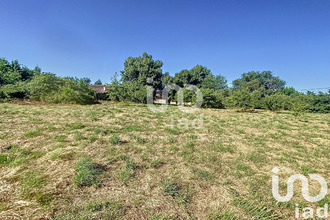 achat terrain negrepelisse 82800