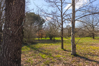 achat terrain negrepelisse 82800