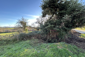 achat terrain neulise 42590