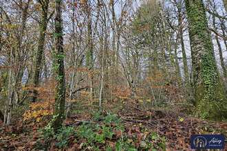 achat terrain neuvic 19160