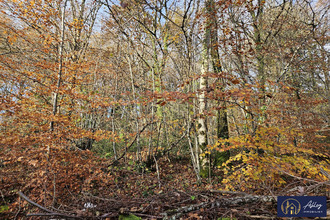 achat terrain neuvic 19160