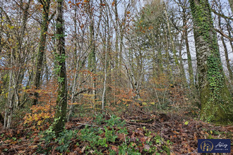 achat terrain neuvic 19160