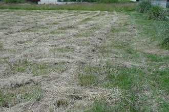 achat terrain neuvic 24190