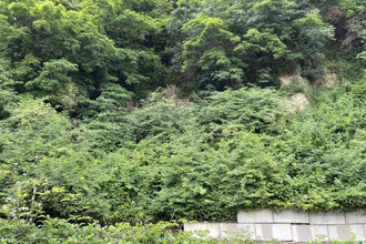 achat terrain nice 06100