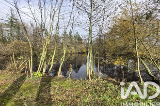 achat terrain nieul-le-dolent 85430