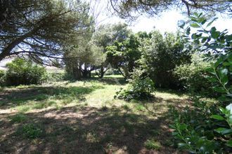 achat terrain noirmoutier-en-l-ile 85330