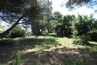 achat terrain noirmoutier-en-l-ile 85330