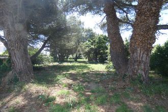 achat terrain noirmoutier-en-l-ile 85330