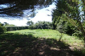 achat terrain noirmoutier-en-l-ile 85330