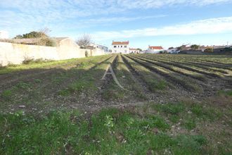 achat terrain noirmoutier-en-l-ile 85330