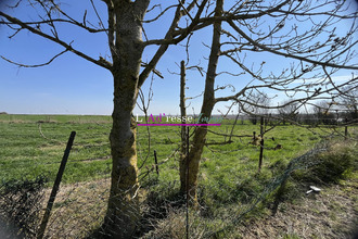 achat terrain noreuil 62128