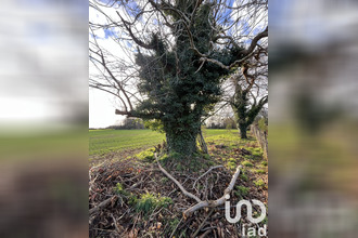 achat terrain nort-sur-erdre 44390