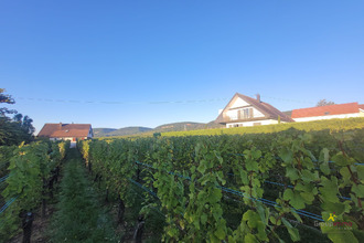 achat terrain obermorschwihr 68420
