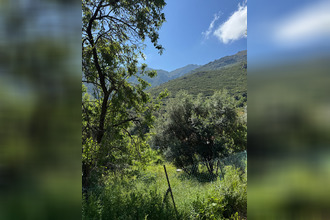 achat terrain occhiatana 20226