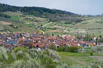 achat terrain odratzheim 67520