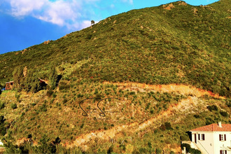 achat terrain olmeta-di-tuda 20232