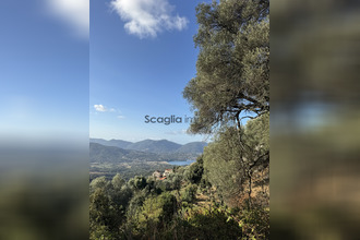 achat terrain olmeto 20113