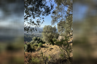 achat terrain olmeto 20113