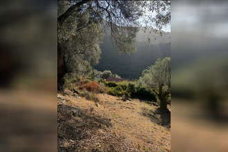 achat terrain olmeto 20113