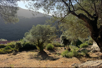 achat terrain olmeto 20113