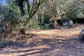 achat terrain olmeto 20113