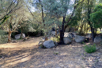 achat terrain olmeto 20113
