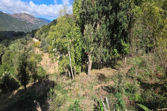 achat terrain olmiccia 20112