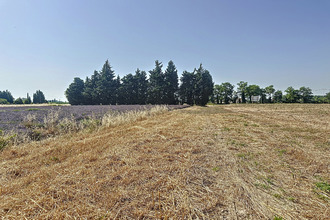 achat terrain orange 84100