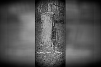 achat terrain orbais-l-abbaye 51270