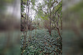 achat terrain ormesson-sur-marne 94490