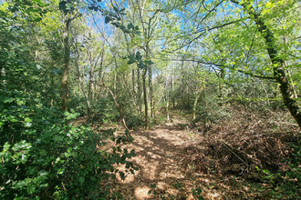 achat terrain orvault 44700