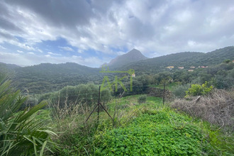 achat terrain osani 20147