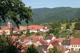 achat terrain osenbach 68570