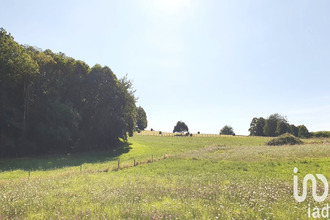 achat terrain palazinges 19190