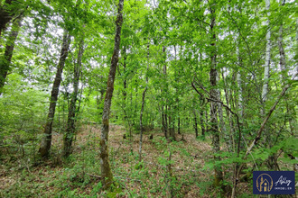 achat terrain palisse 19160