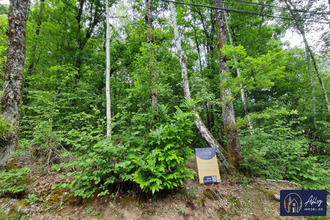 achat terrain palisse 19160