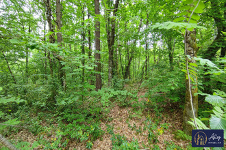 achat terrain palisse 19160