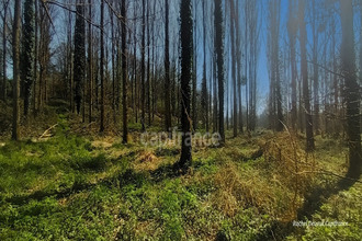 achat terrain pance 35320