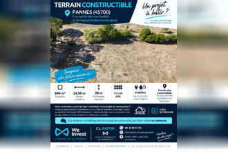 achat terrain pannes 45700