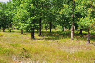achat terrain parentis-en-born 40160