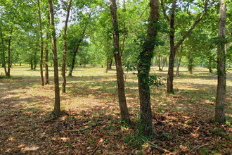 achat terrain parentis-en-born 40160