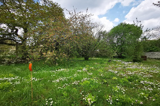 achat terrain paron 89100