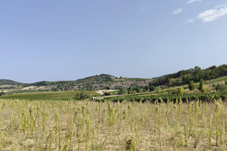 achat terrain pauligne 11300