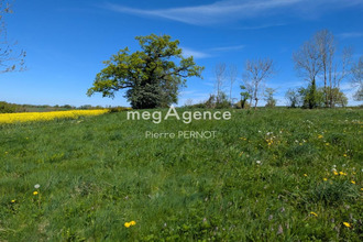 achat terrain paulinet 81250