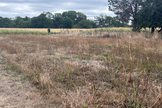 achat terrain peillac 56220