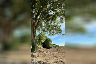 achat terrain pelissanne 13330