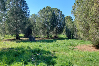 achat terrain perpignan 66000